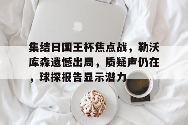 天行体育 -集结日国王杯焦点战，勒沃库森遗憾出局，质疑声仍在，球探报告显示潜力的简单介绍